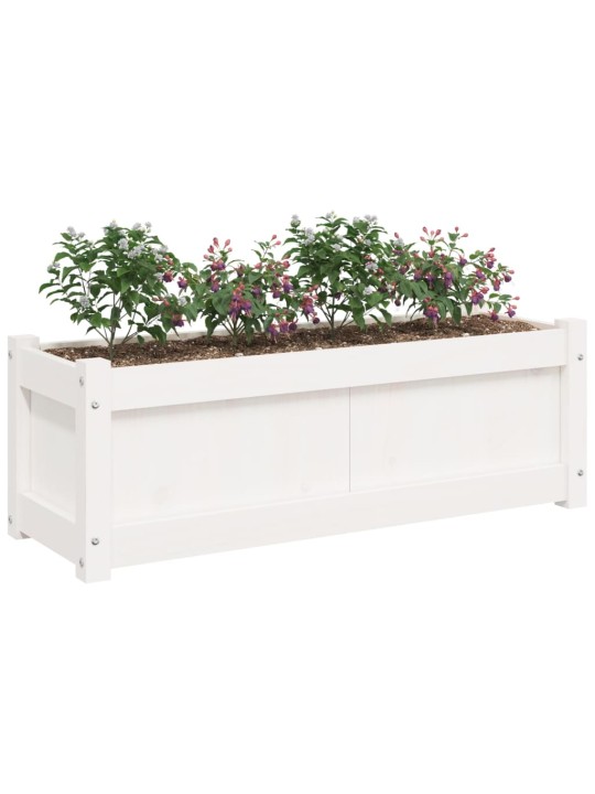 Zahradní truhlík bílý 90 x 31 x 31 cm masivní borové dřevo