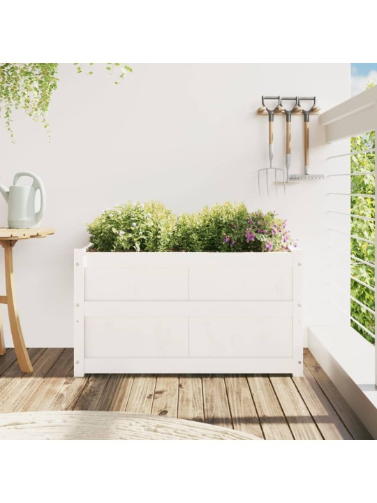 Zahradní truhlík bílý 90 x 50 x 50 cm masivní borové dřevo