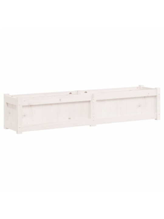 Zahradní truhlík bílý 150 x 31 x 31 cm masivní borové dřevo