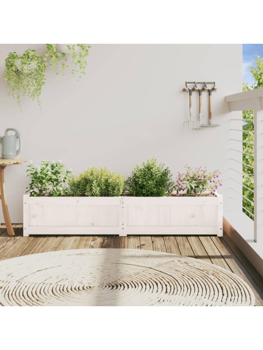 Zahradní truhlík bílý 150 x 31 x 31 cm masivní borové dřevo