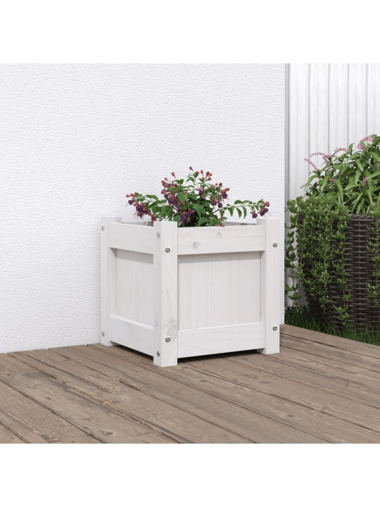 Zahradní truhlík bílý 31 x 31 x 31 cm masivní borovice