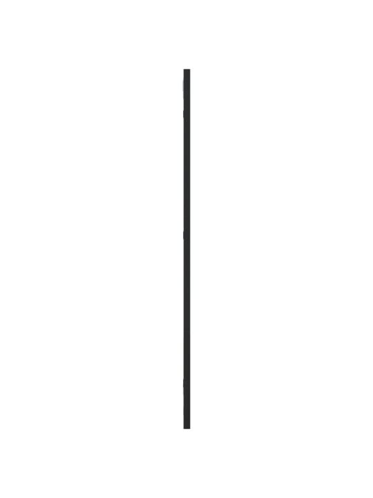 Nástěnné zrcadlo černé 30 x 80 cm obdélník železo
