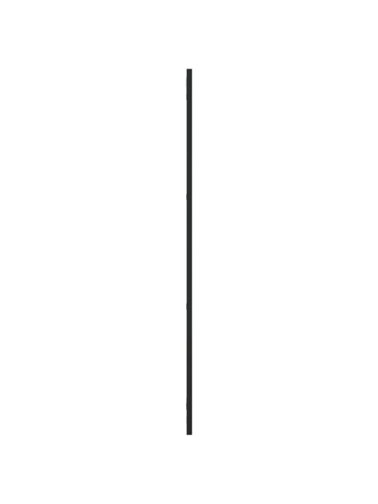 Nástěnné zrcadlo černé 30 x 100 cm obdélník železo