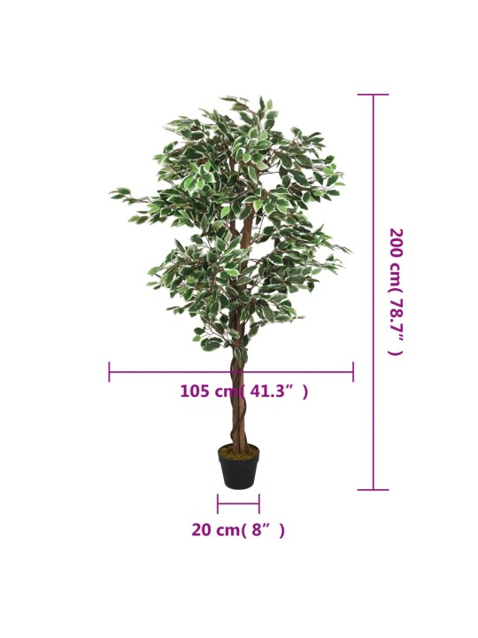 Umělý fíkus 1 260 listů 200 cm zelený