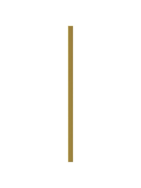 Nábytkové úchytky 10 ks zlaté 320 mm nerezová ocel