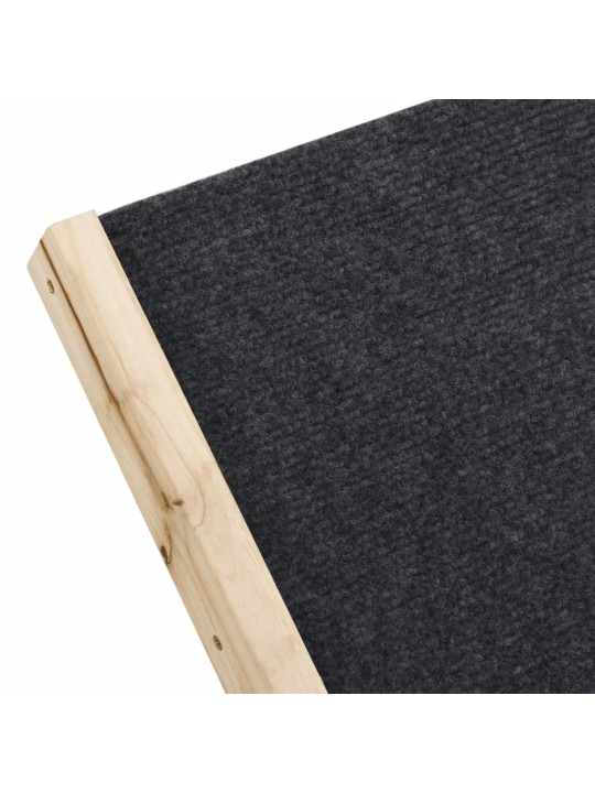 Rampa pro psy šedá 100 x 40 cm masivní jedlové dřevo