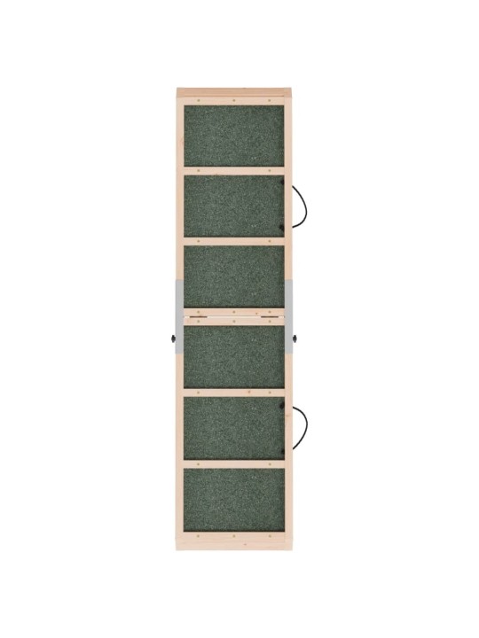 Rampa pro psy šedá 120 x 30 cm masivní jedlové dřevo