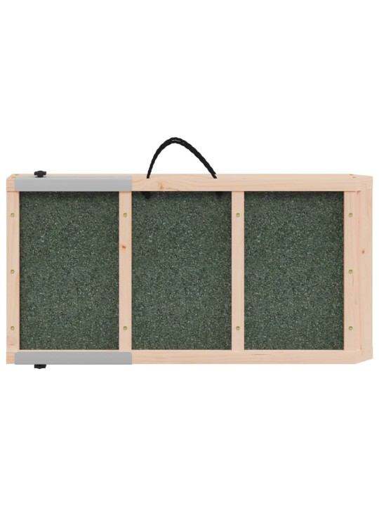 Rampa pro psy šedá 120 x 30 cm masivní jedlové dřevo