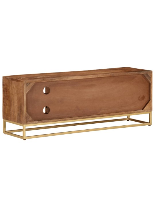 Tv skříňka 110 x 30 x 40 cm masivní mangovníkové dřevo a železo
