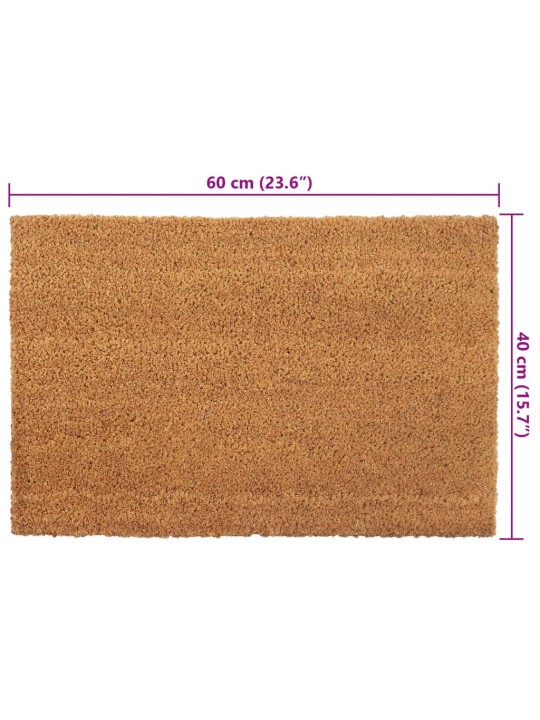 Rohožky před dveře 5 ks přírodní 40 x 60 cm kokosové vlákno