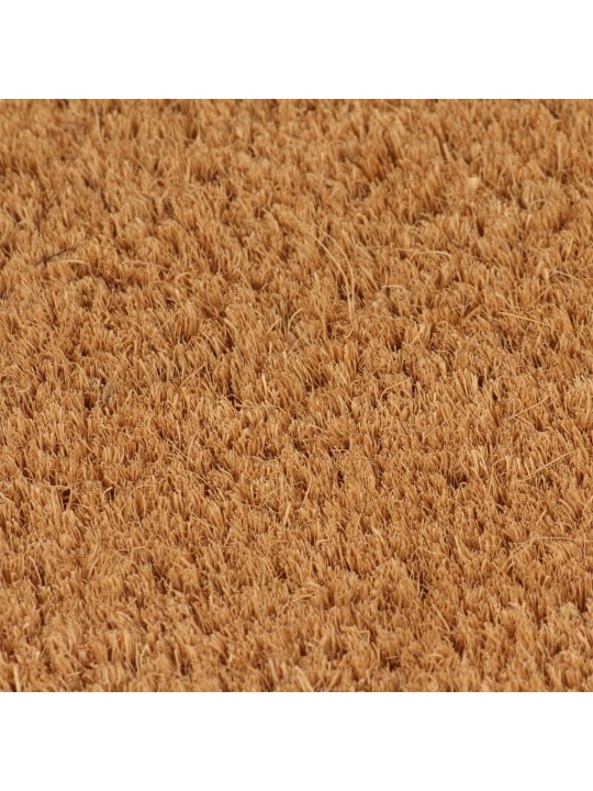 Rohožky před dveře 5 ks přírodní 40 x 60 cm kokosové vlákno