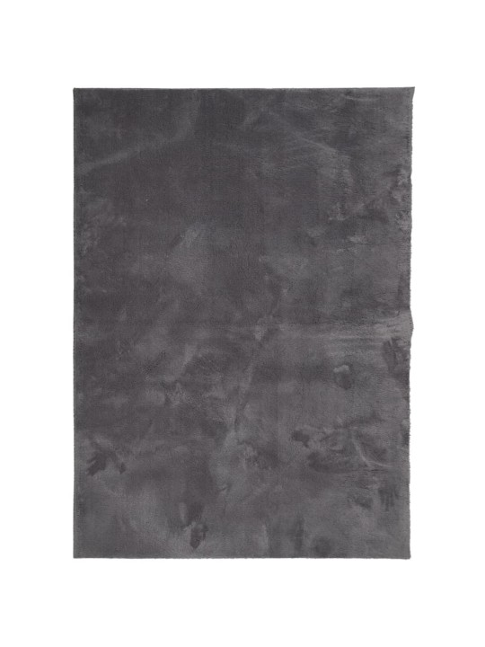 Koberec HUARTE krátký vlas měkký a pratelný antracit 240x340 cm