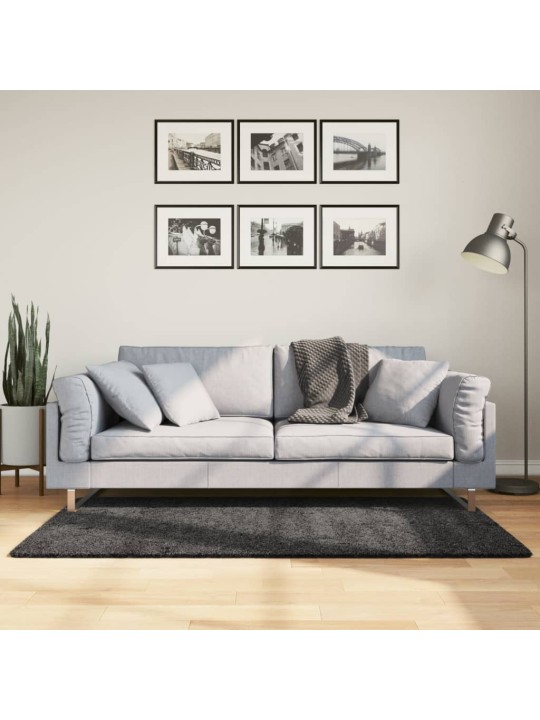 Koberec PAMPLONA s vysokým vlasem moderní antracitový 120x170cm