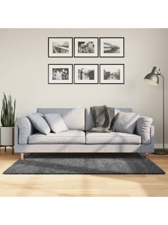Koberec oviedo krátký vlas antracitový 80 x 150 cm