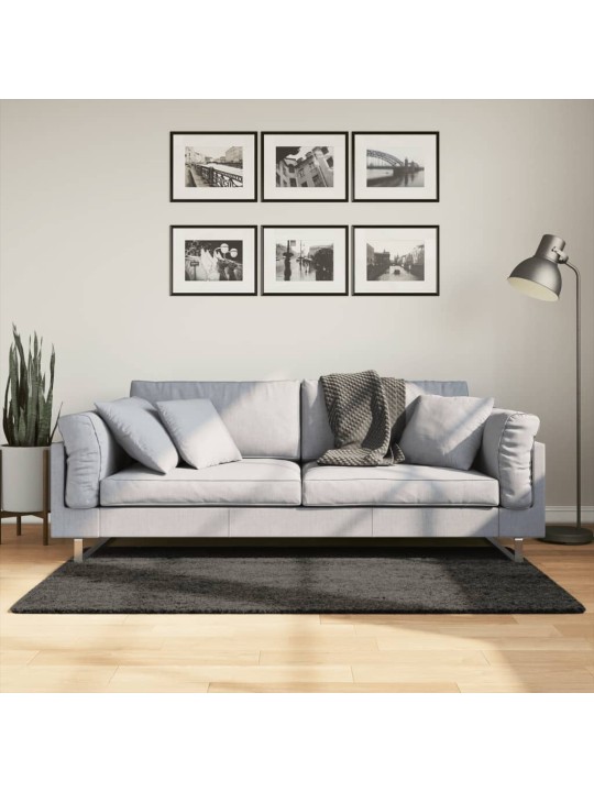 Koberec HUARTE vysokým vlasem lesklý vzhled antracit 80x150 cm