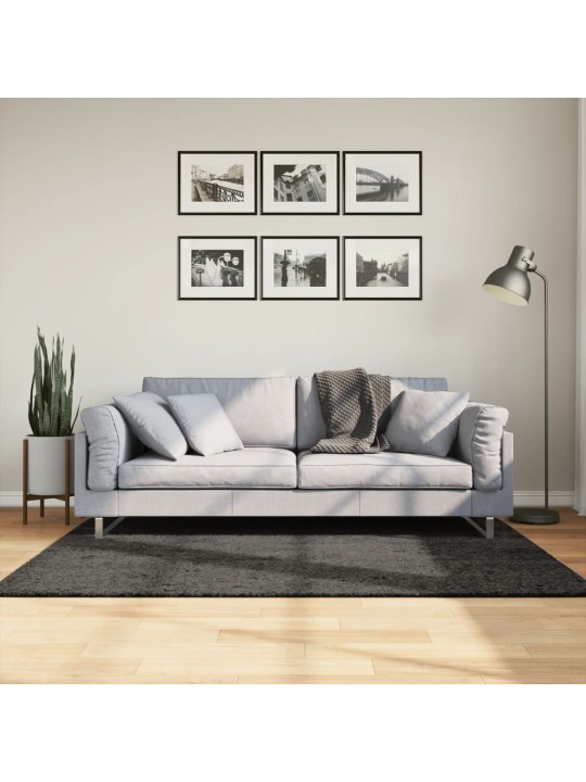 Koberec HUARTE vysokým vlasem lesklý vzhled antracit 120x170 cm