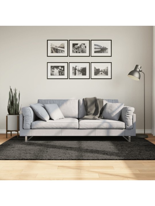 Koberec HUARTE vysokým vlasem lesklý vzhled antracit 140x200 cm