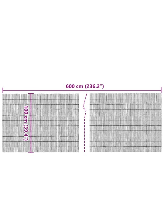 Zahradní plot 600 x 100 cm rákos