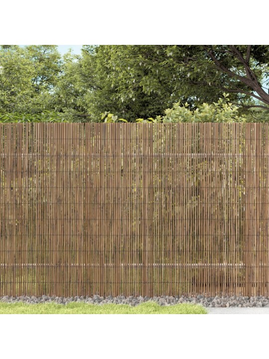 Zahradní plot 600 x 100 cm rákos