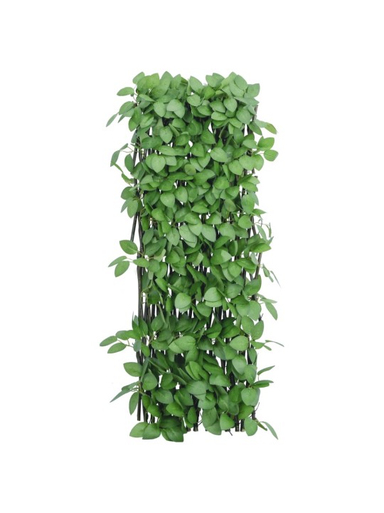 Treláže s umělým břečťanem roztahovací zelené 5 ks 180 x 65 cm