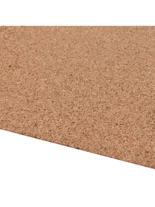 Korková role 100x800 cm 2 mm