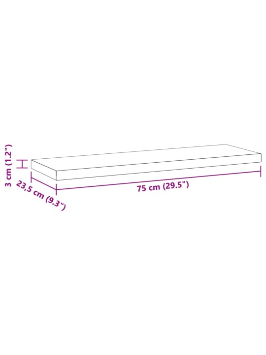 Nástěnné police 2 ks 75 x 23,5 x 3 cm černé nerezová ocel