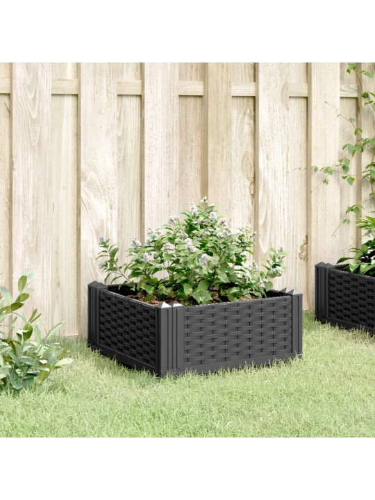 Zahradní truhlík s kolíky černý 42,5 x 42,5 x 28,5 cm PP