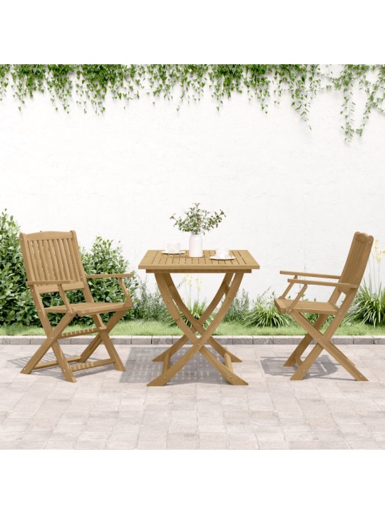 Skládací zahradní židle 2 ks 58 x 54,5 x 90 cm masivní akácie