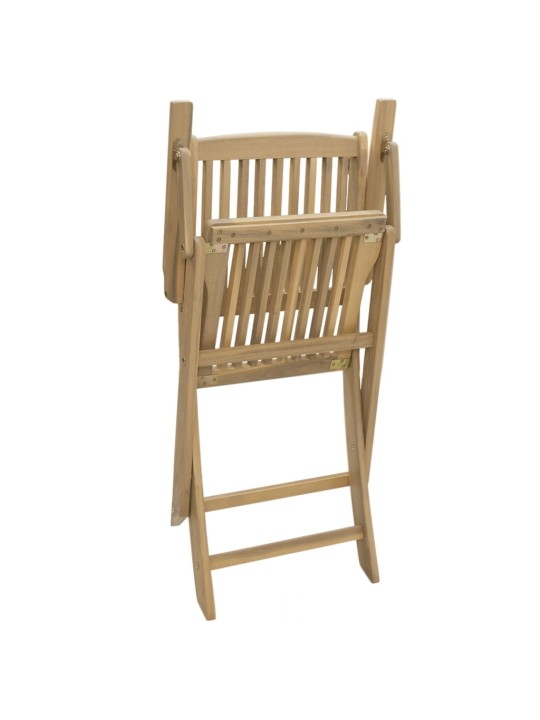 Skládací zahradní židle 2 ks 58 x 54,5 x 90 cm masivní akácie