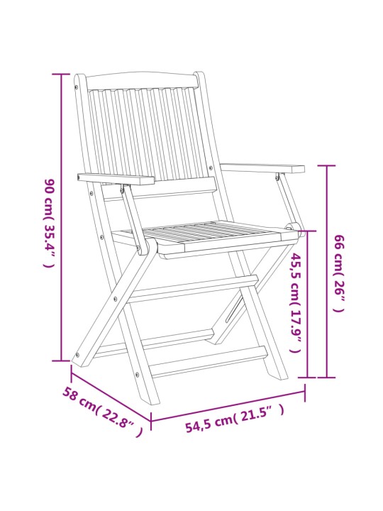 Skládací zahradní židle 2 ks 58 x 54,5 x 90 cm masivní akácie