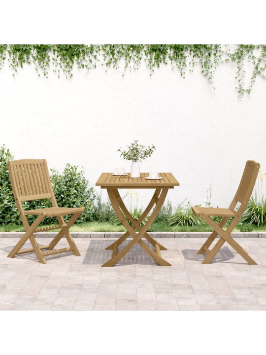 Skládací zahradní židle 2 ks 57 x 48,5 x 90 cm masivní akácie