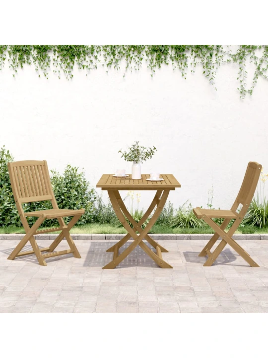 Skládací zahradní židle 2 ks 57 x 48,5 x 90 cm masivní akácie