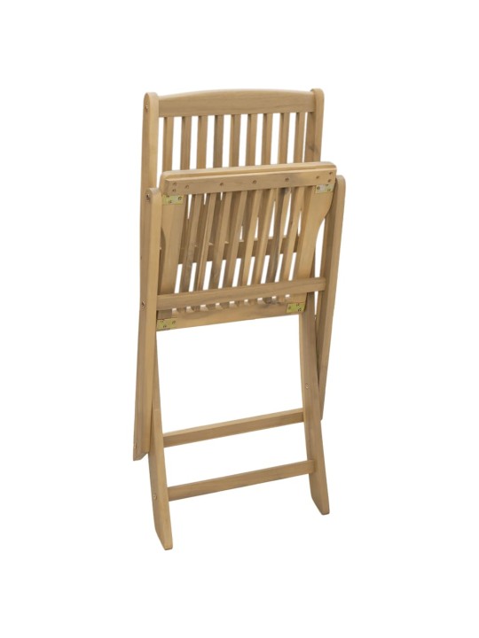 Skládací zahradní židle 2 ks 57 x 48,5 x 90 cm masivní akácie