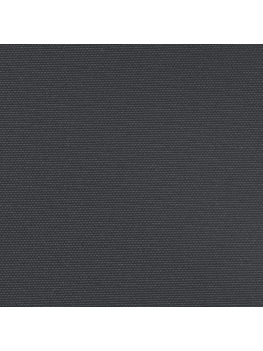 Zatahovací boční markýza černá 200 x 300 cm