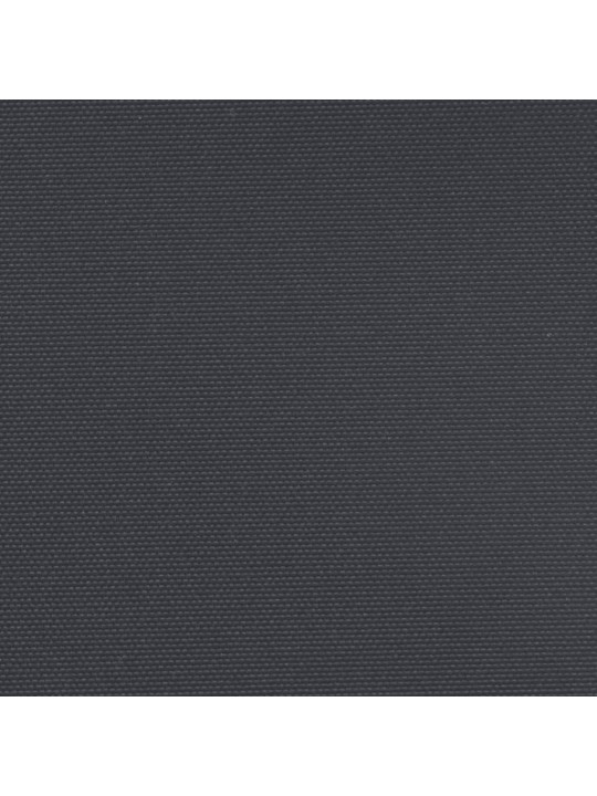 Zatahovací boční markýza černá 220 x 300 cm