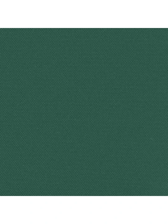 Zatahovací boční markýza tmavě zelená 180 x 600 cm