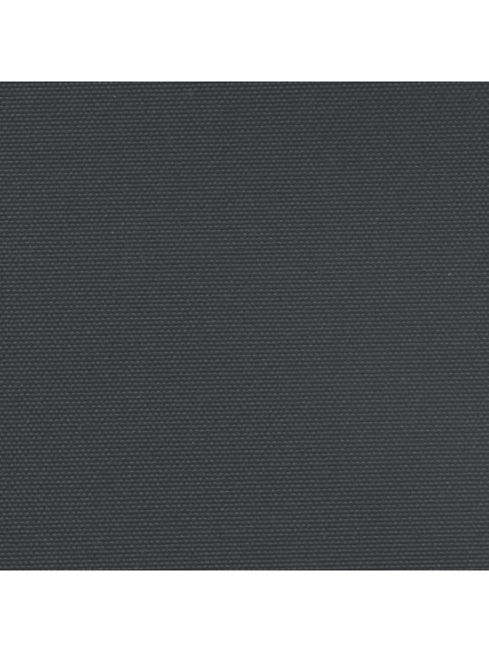 Zatahovací boční markýza černá 220 x 600 cm