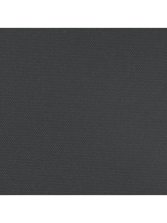 Zatahovací boční markýza černá 220 x 600 cm