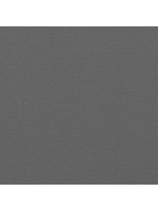 Zatahovací boční markýza antracitová 220 x 600 cm