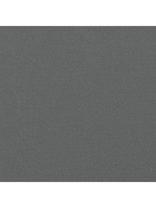 Zatahovací boční markýza antracitová 120 x 1 000 cm