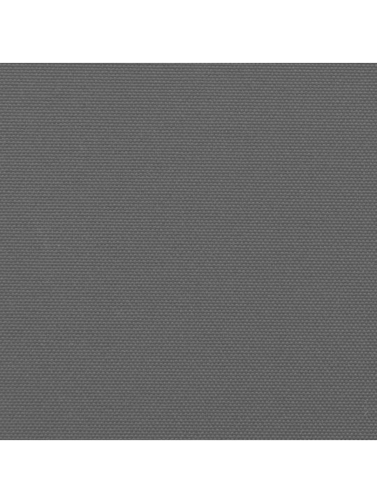 Zatahovací boční markýza antracitová 200 x 1 000 cm