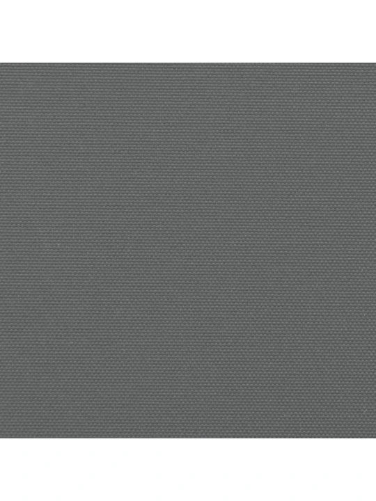 Zatahovací boční markýza antracitová 160 x 1 200 cm