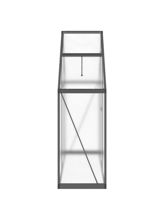 Skleník s podkladovým rámem antracitový 169x58x195 cm hliník