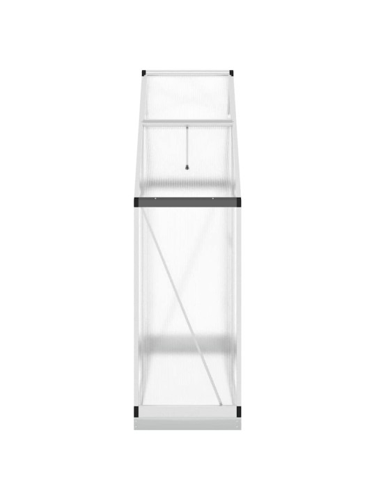 Skleník s podkladovým rámem stříbrný 169 x 58 x 202 cm hliník