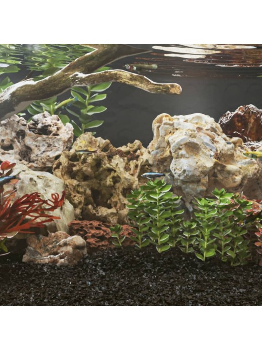 Dračí kameny 10 kg vícebarevné 10–30 cm