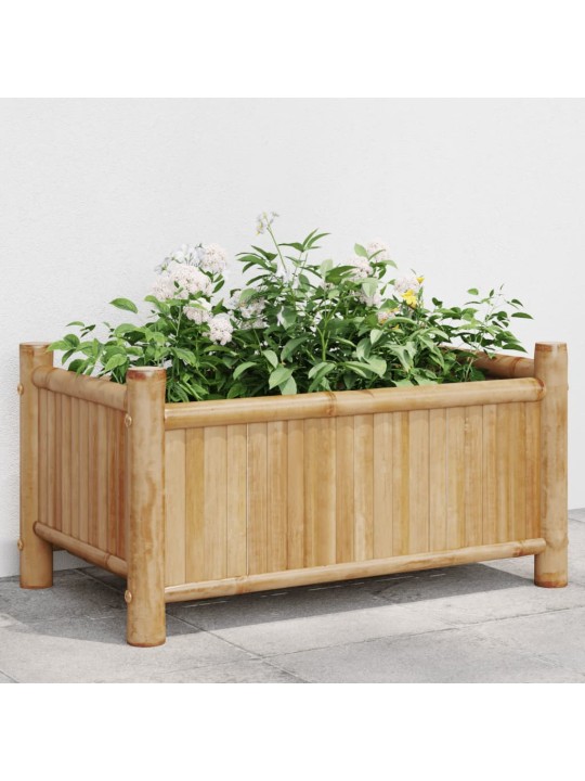 Truhlík 50 x 30 x 25 cm bambus