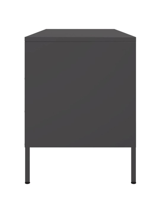 TV skříňka černá 100,5 x 39 x 50,5 cm ocel
