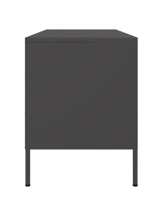 TV skříňka černá 100,5 x 39 x 50,5 cm ocel