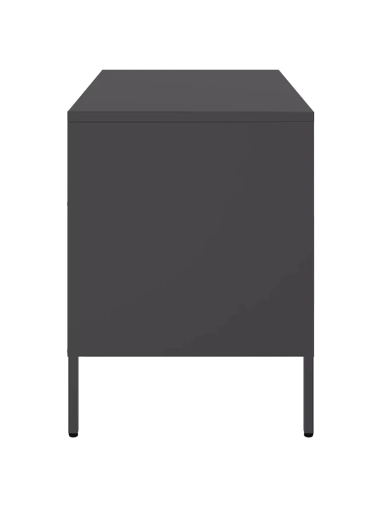 TV skříňka černá 68 x 39 x 50,5 cm ocel