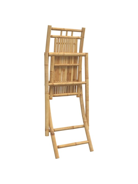 Skládací zahradní židle 2 ks 46 x 66 x 99 cm bambus